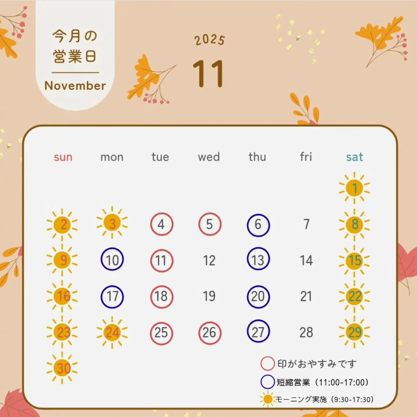 【11月スケジュール📢】